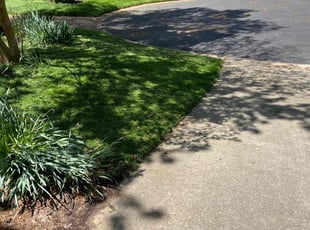 Matthew T.'s Yard Cutting service result
