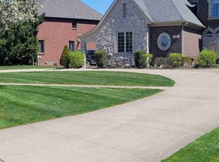 Jasmine C.'s Lawn Mowing service result