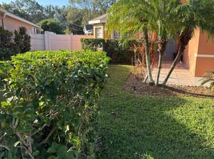 Bush Trimming by Carlos Hernandez for Jennifer B. in Tampa, FL