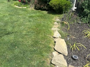 ReneΓ© H.'s Lawn Mowing service result