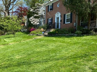 Leaf Removal by David Trejo for Tarik Y. in Silver Spring, MD
