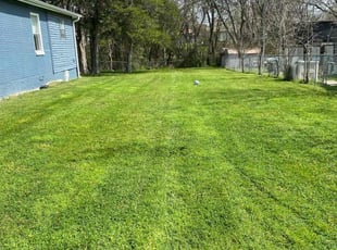 Karina M.'s Grass Cutting service result