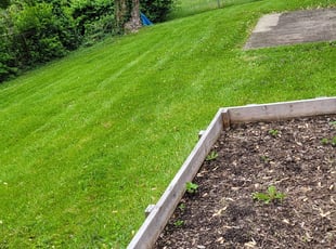 Cleanups by Stephen Sheldon for Amanda J. in Cincinnati, OH