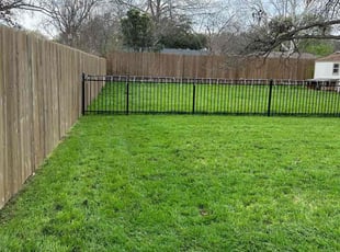 Sandra Z.'s Lawn Mowing service result