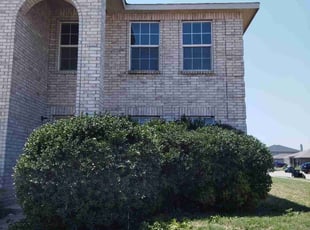 Bush Trimming by Gralin Johnson for Al S. in Fort Worth, TX