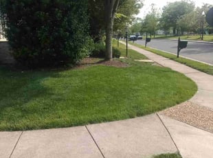 Bryan D.'s Lawn Mowing service result