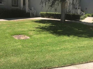 Denise A.'s Lawn Maintenance service result
