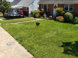 Brian O.'s Lawn Mowing Service service result