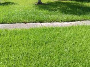 Christine L.'s Lawn Care service result