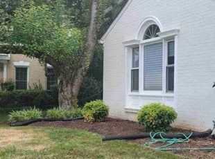 Myrna O.'s Lawn Mowing service result
