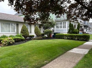 Bush Trimming by Janet Breeden for Lisa M. in Buffalo, NY