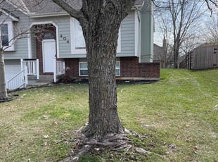 Leaf Removal by Bo Hickmon for Wendell L. in Lee's Summit, MO