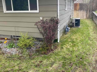 Bush Trimming by Nick Yerxa (DELETED ACCOUNT) for Teri M. in Spokane, WA