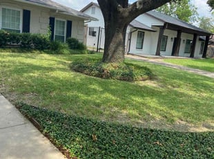 Nikki R.'s Lawn Care service result