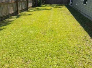 Penny F.'s Lawn Mowing service result