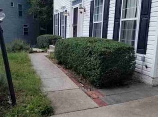 Bush Trimming by Bill Giampa for Nathan H. in Woodbridge, VA
