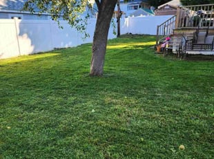 Maria P.'s Lawn Service service result