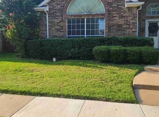 Bush Trimming by Kevin Anderson for Whitney O. in Richardson, TX