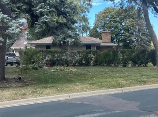 Sharon G.'s Grass Cutting service result