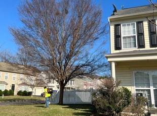 Leaf Removal by Donald Tucker for Justin M. in Dumfries, VA