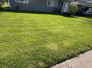 Nancy C.'s Yard Cutting service result