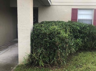 Bush Trimming by Genet Rena for Colleen S. in Orlando, FL
