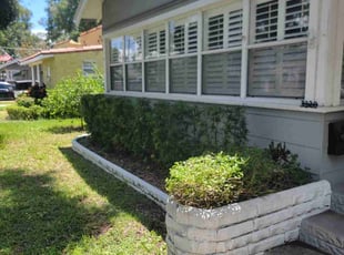 Bush Trimming by Carlos Hernandez for Charles S. in Tampa, FL