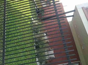 Delando & Naomi J.'s Grass Cutting service result
