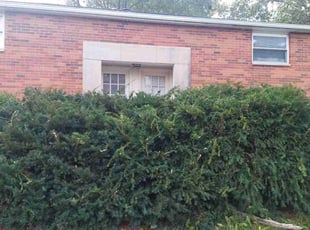 Bush Trimming by Scotty Newland for Anthony J. in Columbus, OH