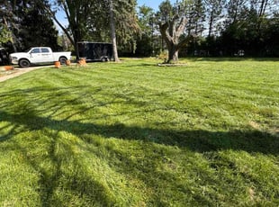 Devon L.'s Lawn Care service result