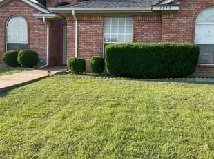 Callista B.'s Lawn Care service result
