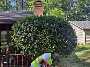 Bush Trimming by Jason Times for Kathy Y. in Riverdale, GA