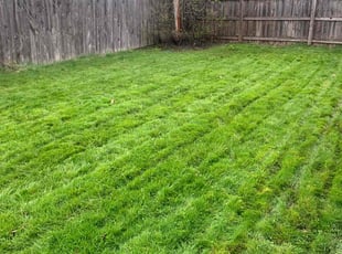 Vincent C.'s Yard Cutting service result