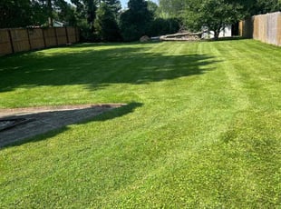 Lorraine E.'s Lawn Maintenance service result