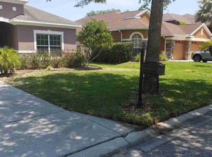 Ivory B.'s Yard Cutting service result
