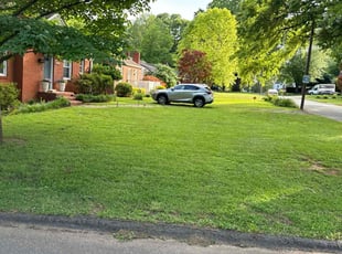 Zoe C.'s Lawn Mowing service result