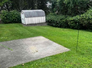 Ann H.'s Lawn Mowing service result