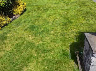 Weeding by Jason Ott for Anjali S. in Maple Valley, WA