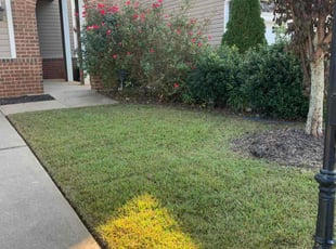 Cindy M.'s Lawn Maintenance service result