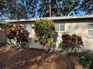Cleanups by Nick Collette for Patricia B. in Clearwater, FL