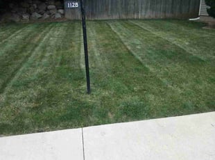 Agboola O.'s Lawn Mowing Service service result