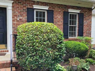 Bush Trimming by Mike Williams for Mangala S. in Richmond, VA