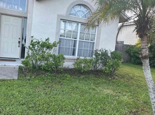 Bush Trimming by Towando Reid for Dylan S. in Brandon, FL