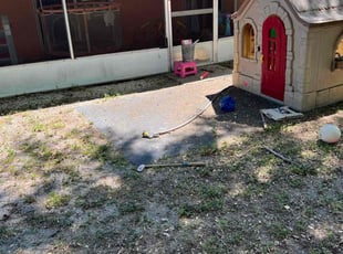 Leaf Removal by Jerry Merus for Alonso A. in Winter Park, FL