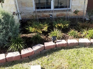 Cleanups by Gregorio Castruita for An T. in Houston, TX