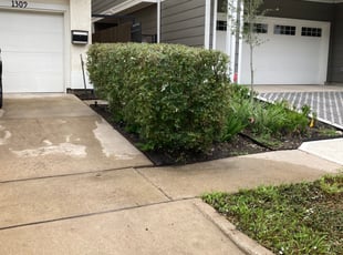 Bush Trimming by Moises Perez for Jordan S. in Houston, TX