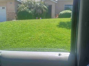 Robert B.'s Lawn Maintenance service result