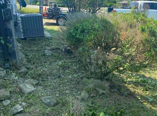 Bush Trimming by Irvin Lopez for Tameka O. in Nashville, TN