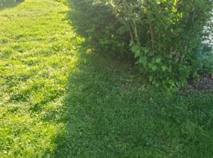 Cleanups by Chad Mann for Judelyn H. in McCordsville, IN
