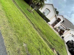 Bush Trimming by Hahshim Saunders for Melissa P. in Kissimmee, FL